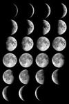 moon.jpg